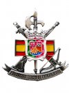 Distintivo Motivo Fundaci�n Plata
