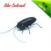 Cucaracha Solar