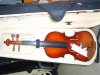 violin VL810