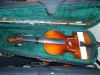 violin VL620