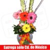 Arcoiris de Gerberas