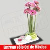 Gerberas de Paz