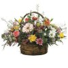 Canasta de Flores (USA)