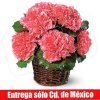 Canasto de Claveles