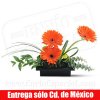 Gerberas Minimalistas