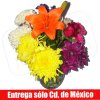 Alegr�a