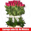 Atado de Rosas