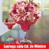 Daiquir� de Fresa