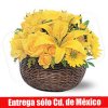 Canasto Amarillo