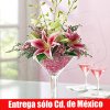 Cosmopolitan