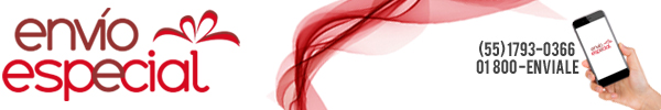 Env�o Especial