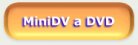 MiniDV a DVD
