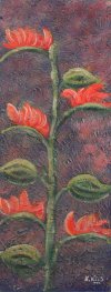 M. V�lez-Flores