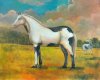 Milvio Salcedo-Caballos