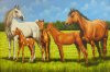 Rigoberto Beltran-5 caballos