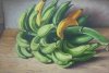 Joel Gonel-Bodeg�n