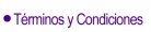 T�rminos y Condiciones