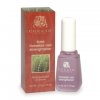 Fort� Nails Strengthener