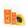 Papaya Green Tea Environment Hand Protection Lotion