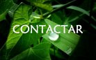 CONT�CTANOS  AQU�
