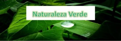 Naturaleza Verde