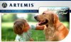 ARTEMIS HOLISTIC
