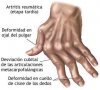 Ajo, Lecitina. Fibra org�nica,  Calcio org�nico, Omega 3