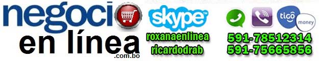 Office Computer SRL