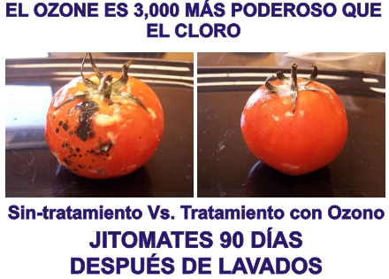 Ozone Safe Food M�xico