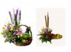 CANASTA FRUTAL