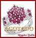 Anillo Plata Rodinada Rubes y Topacios