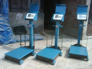 Balanza electronica de 300 kg.