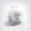 Salt & Paper