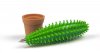 Cactus Pen